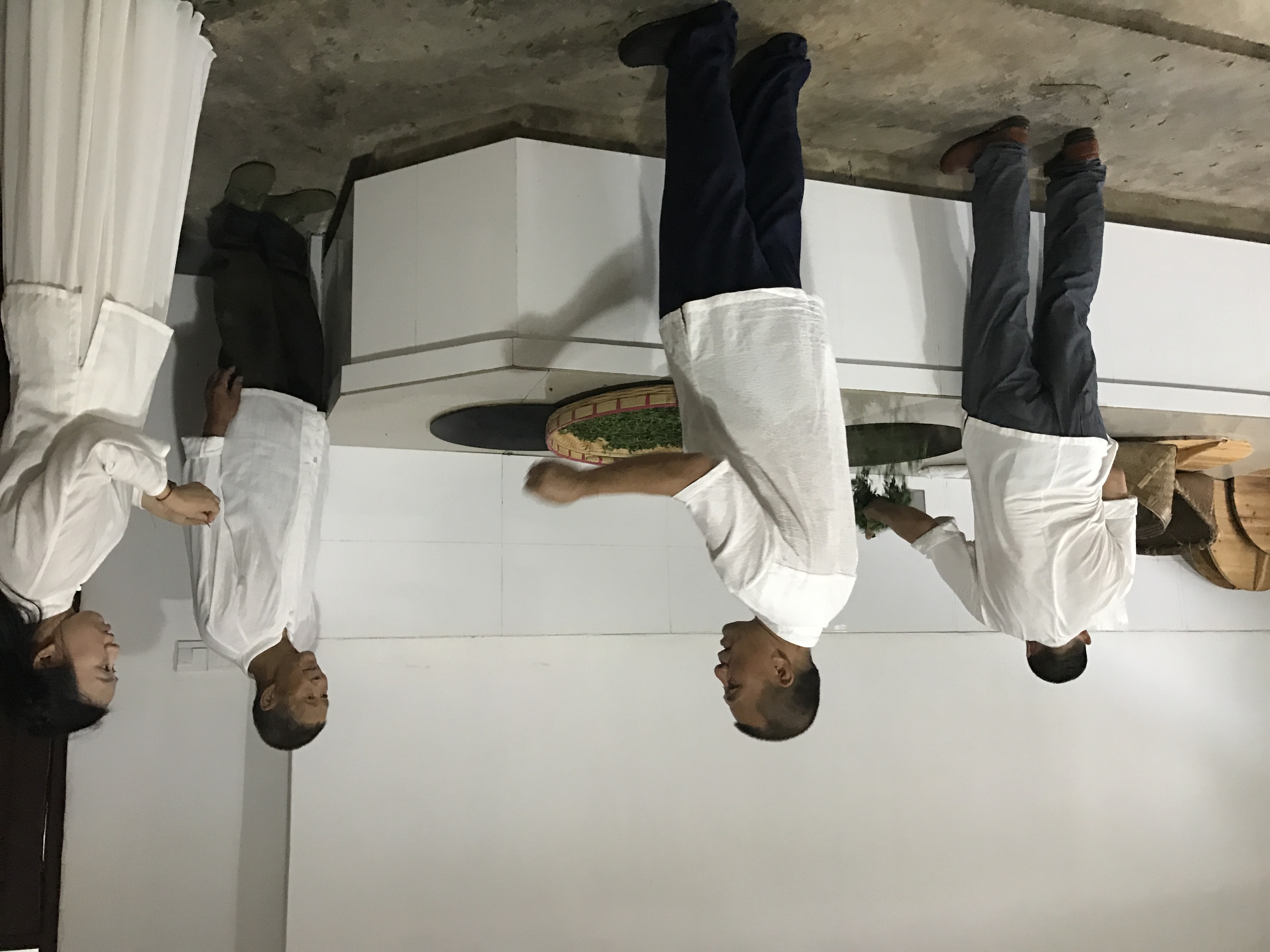 非遗传承人程利平铁锅手工杀青工序 — 黄山条茶制作