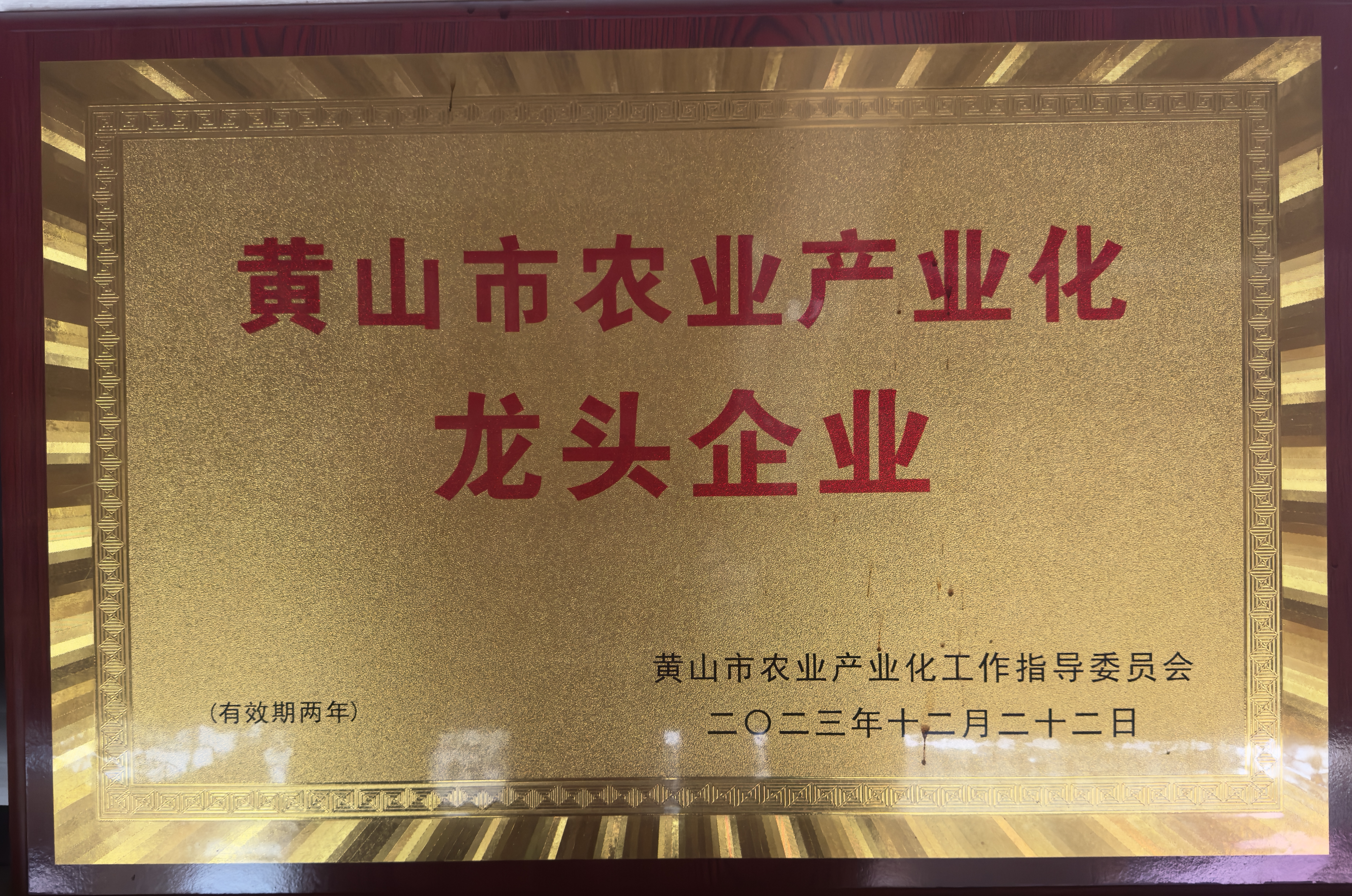 黄山市农业产业化龙头企业证书